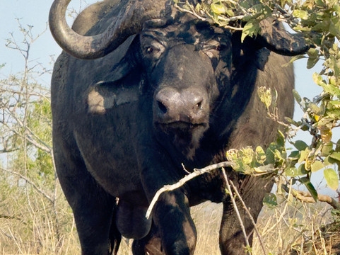 MyAfrica-霍德斯普鲁特必去景点