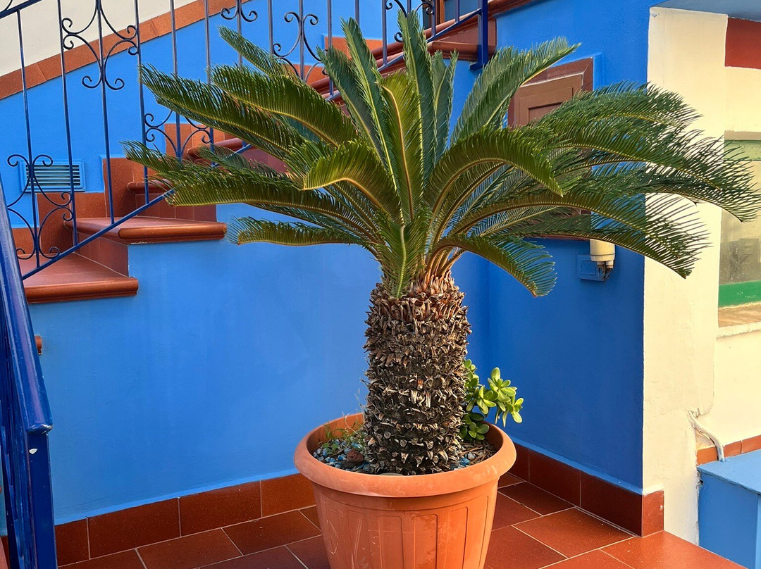 索尼内尔布鲁酒店主图