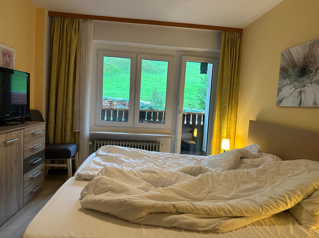 贝斯霍夫阿尔卑斯山酒店主图