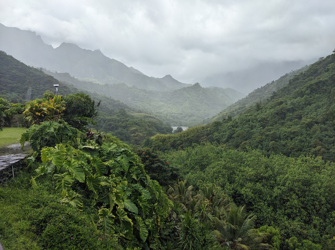 Vallée de la Papenoo-大溪地必去景点