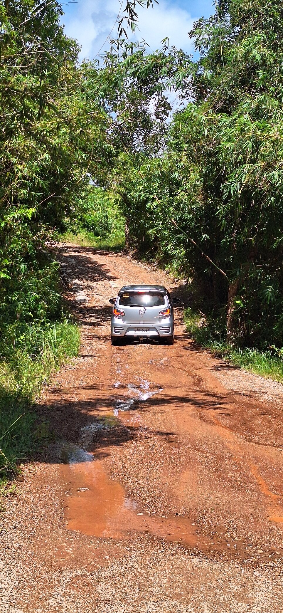 布桑加湾旅舍-官方