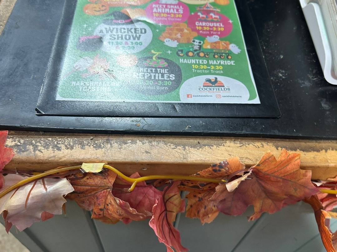 Cockfields Farm Park-Ashton-under-Lyne必去景点