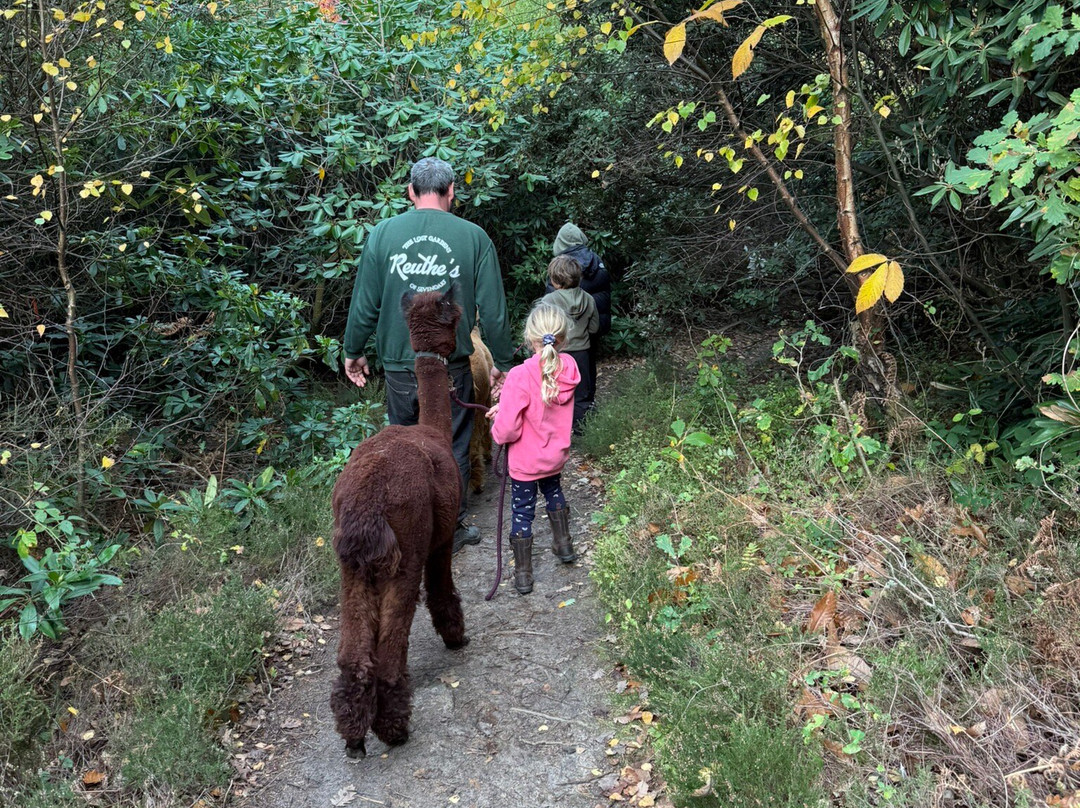 Reuthe's The Lost Gardens Of Sevenoaks-Sevenoaks必去景点