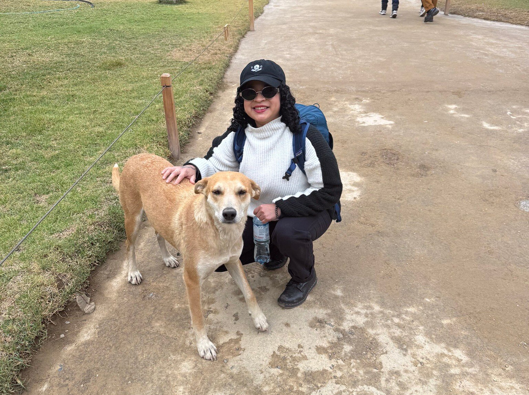 Tour in Peru-库斯科必去景点