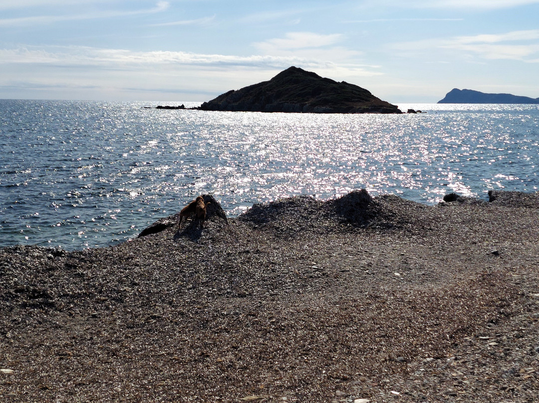 Spiaggia di Campionna-Teulada必去景点