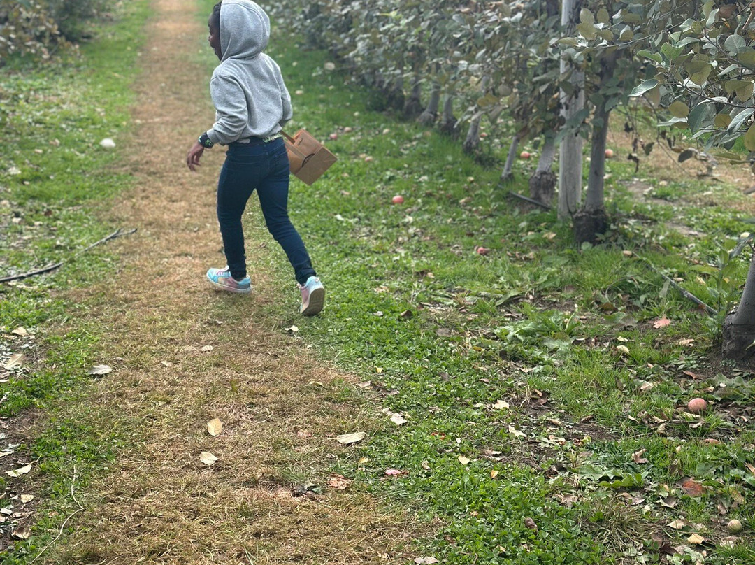 Johnson's Corner Farm-Medford必去景点