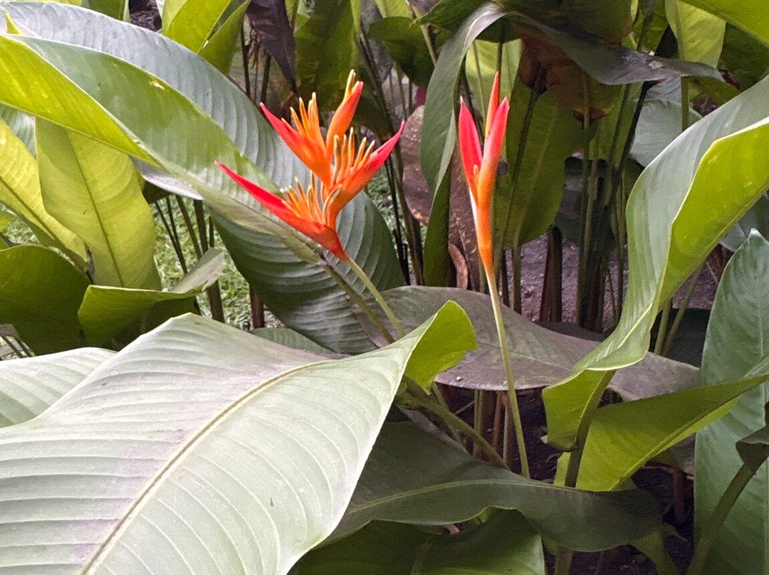 Pension Pare Lodge主图