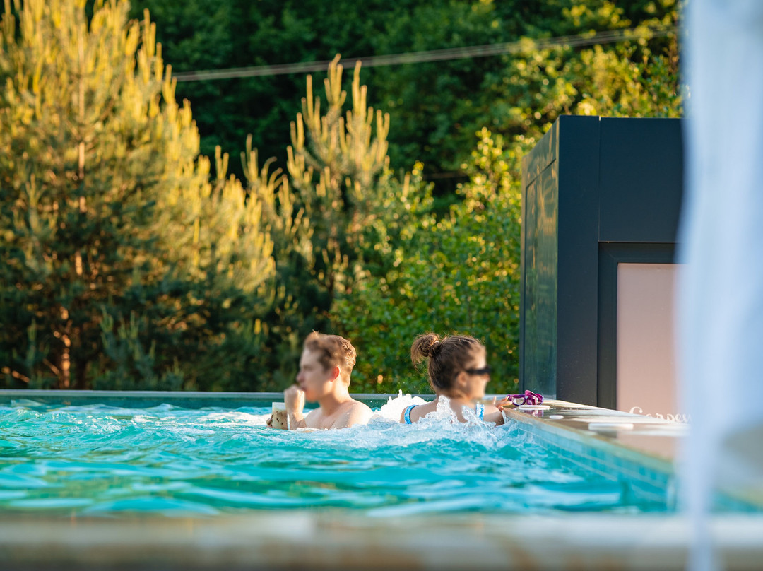 Carpentiere Arena主图