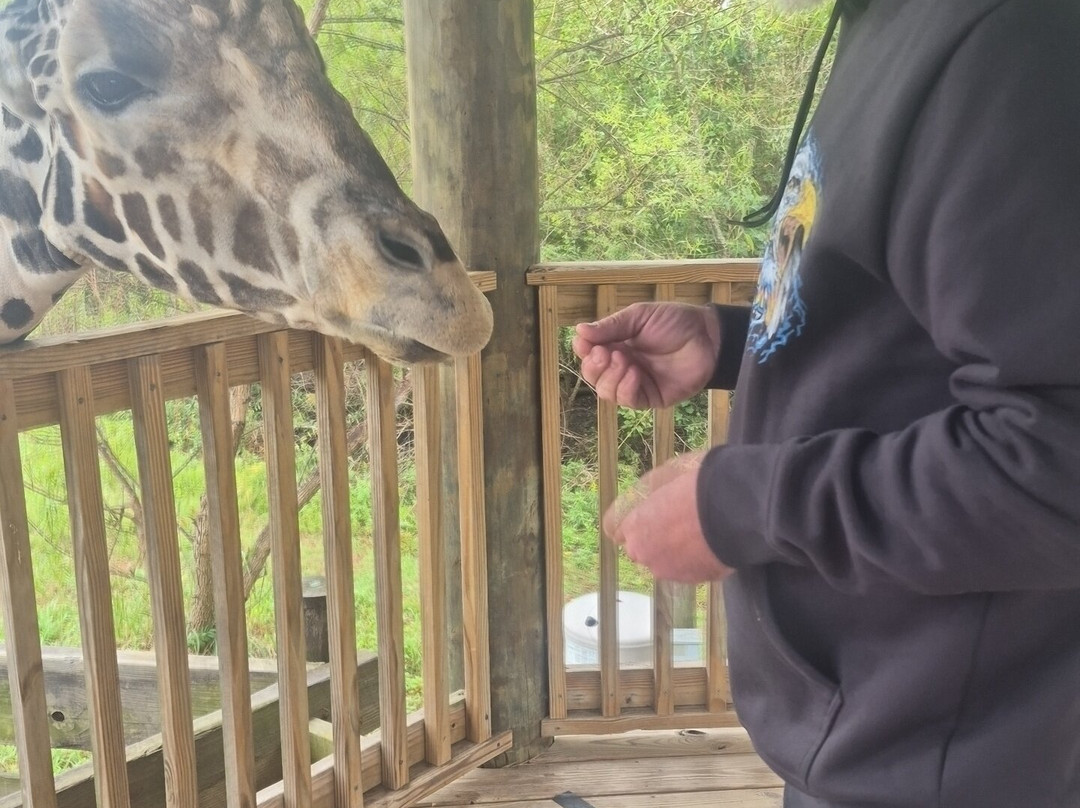 Alabama Gulf Coast Zoo-格尔夫海岸必去景点
