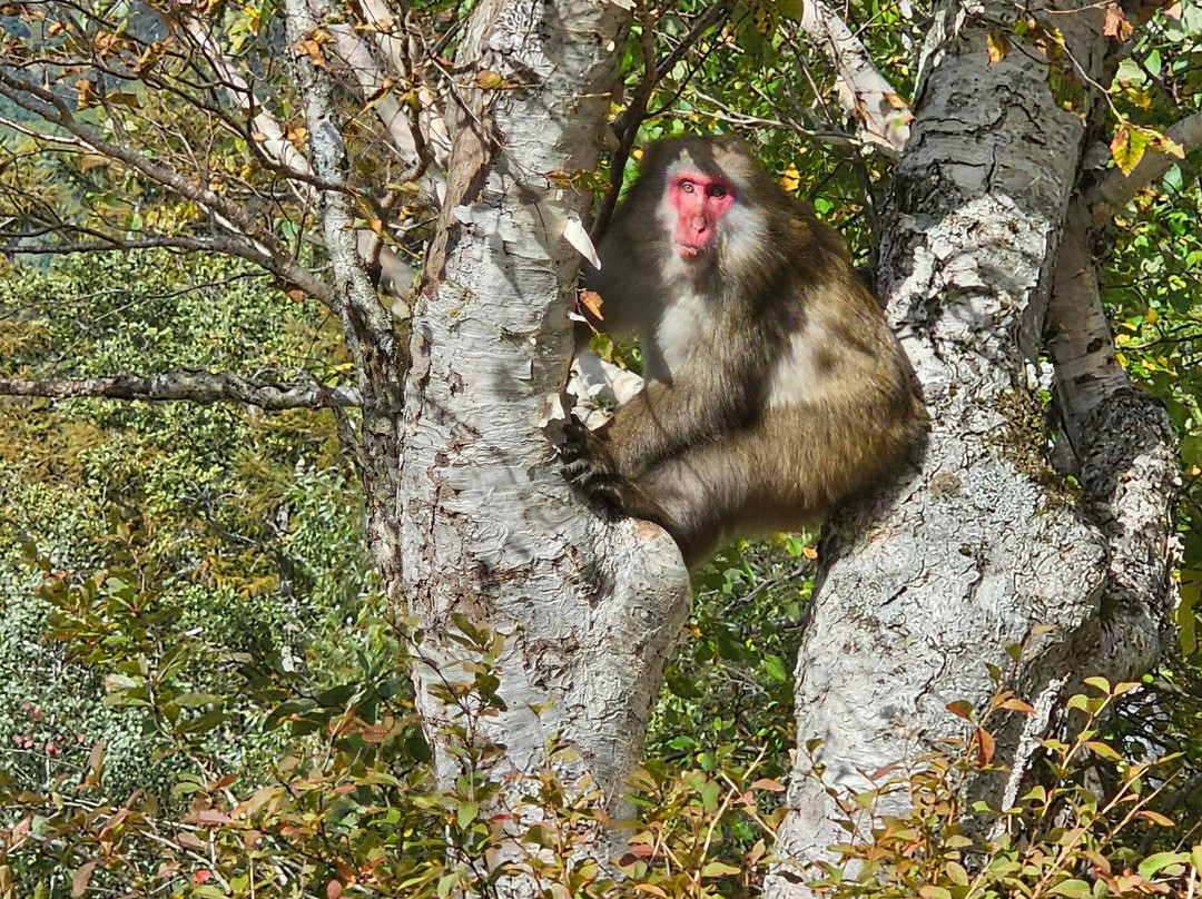 Myojin Pond-松本市必去景点