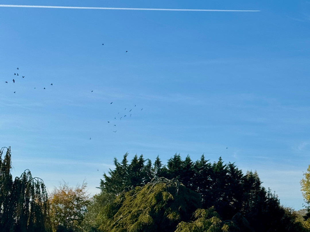 Bellinter House Hotel and Spa主图