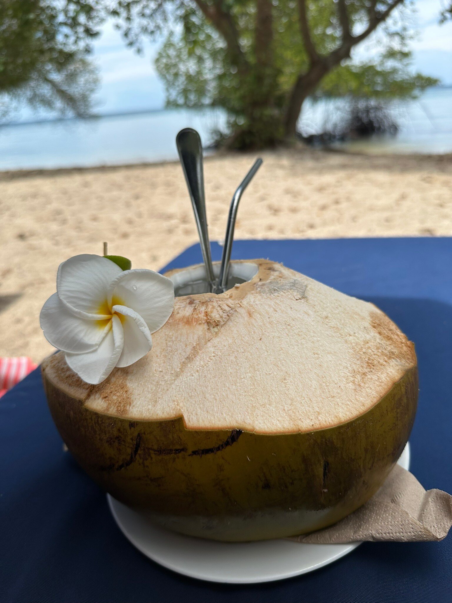 曼杰甘度假村-官方