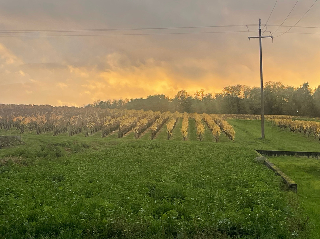 Caves Cathelineau-Chancay必去景点