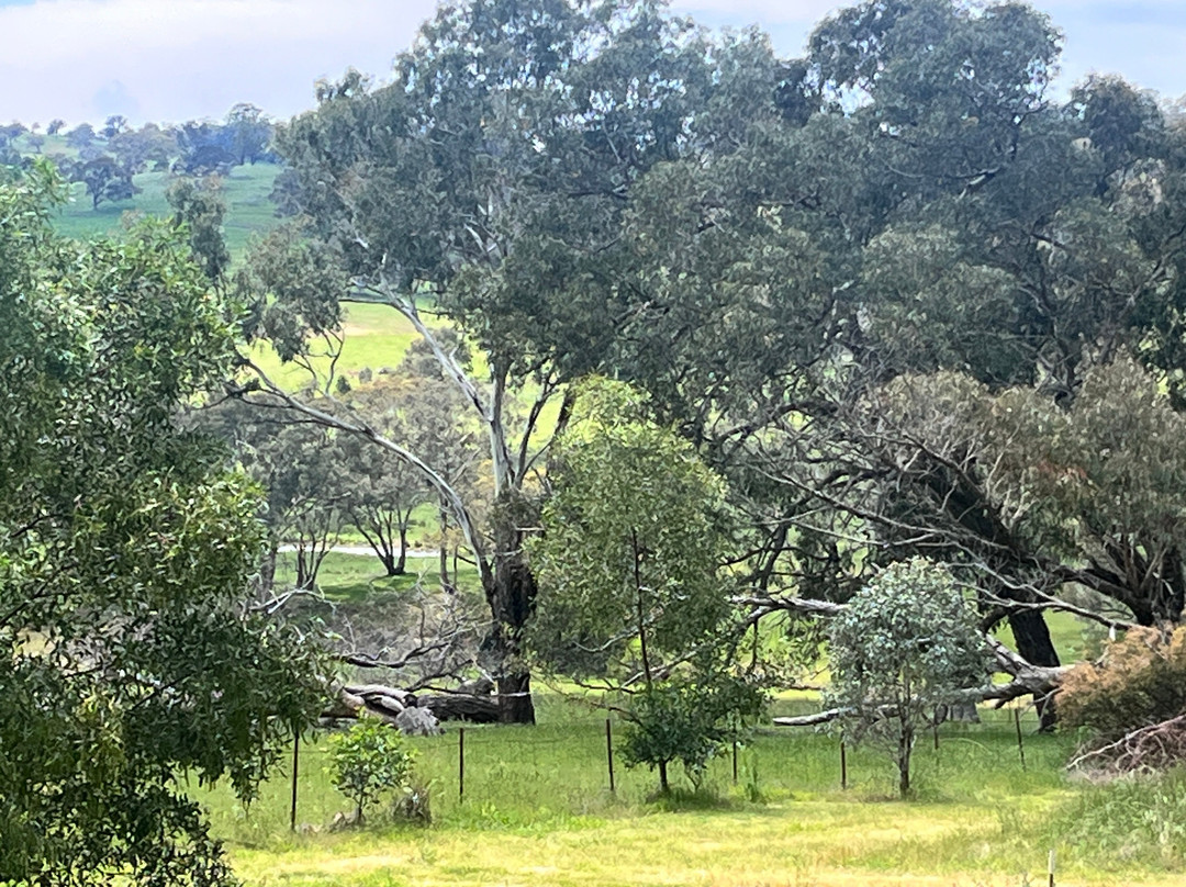 Straw House Wines-奥兰治必去景点