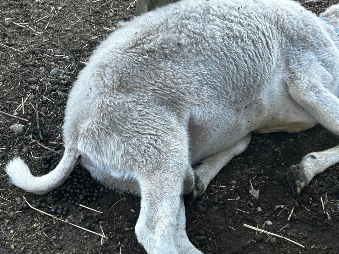 Idle-Hour Ranch-Troy必去景点