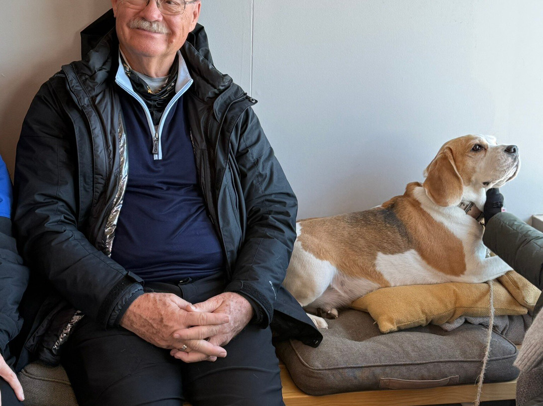 Sturlureykir Horses/Visiting HorseFarm-Reykholt必去景点