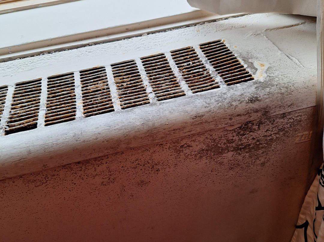 Arlington Resort Hotel & Spa主图