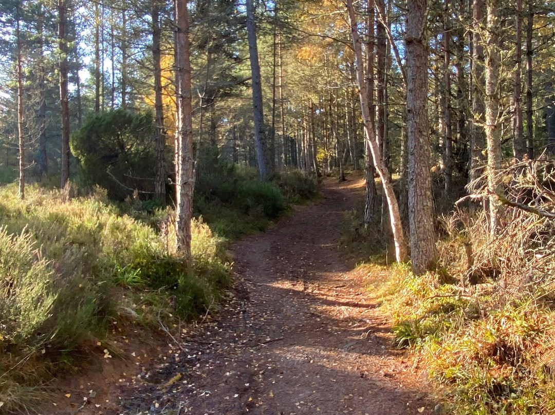 Fyrish Monument-Evanton必去景点