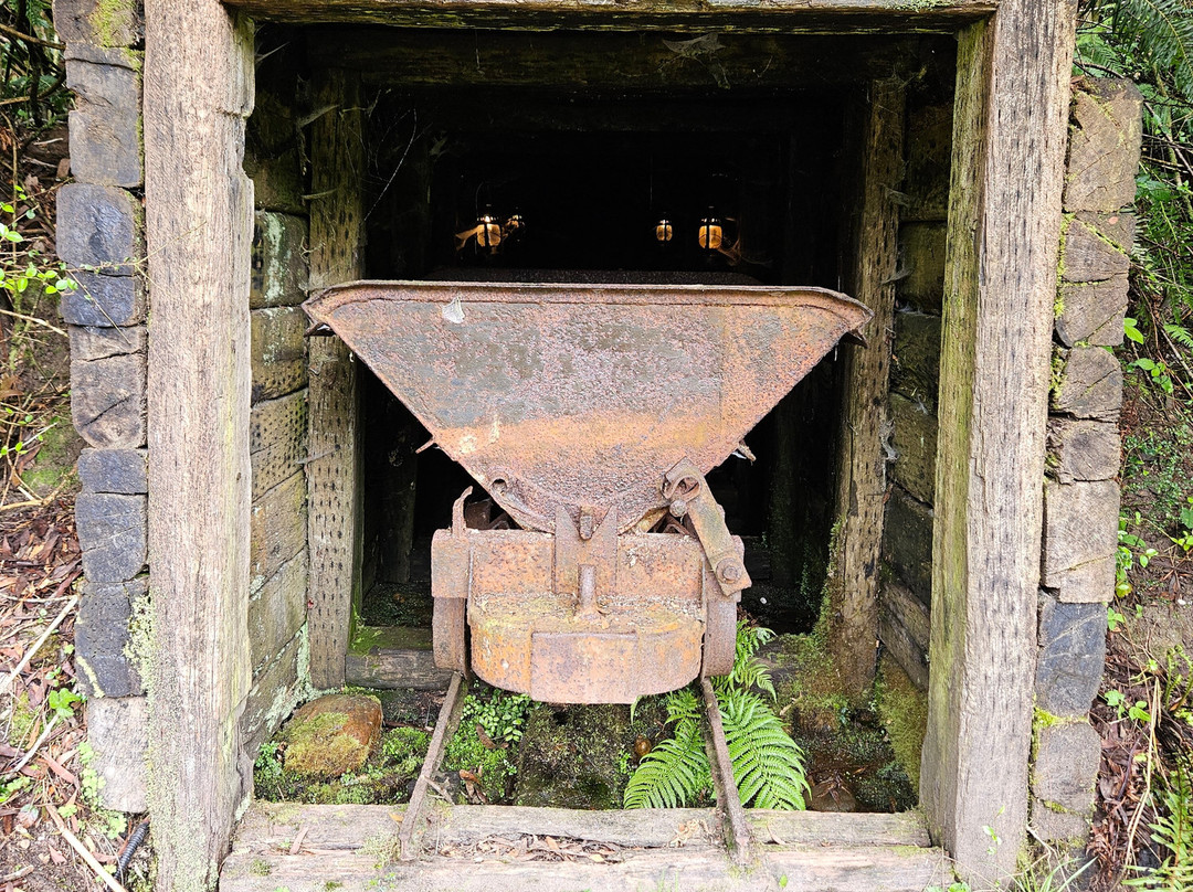 West Coast Wilderness Railway-皇后镇必去景点