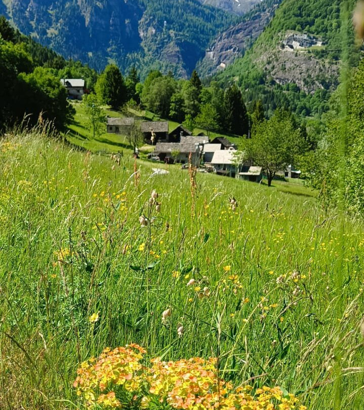 Alpe Esigo-Alpe Devero必去景点