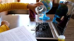 Paradise Park-Hayle必去景点