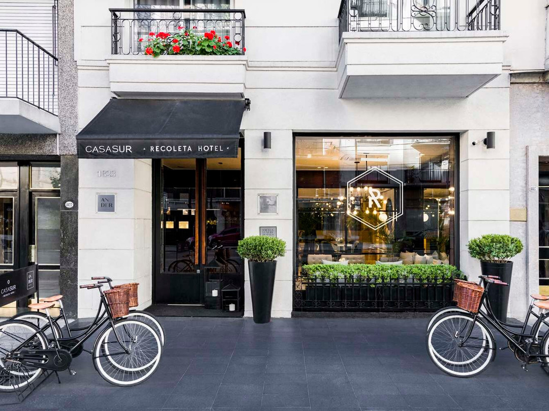 布宜诺斯艾利斯酒店住宿-卡萨苏尔艺术酒店