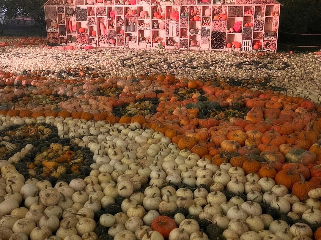 Nonno Andrea-维洛尔巴必去景点