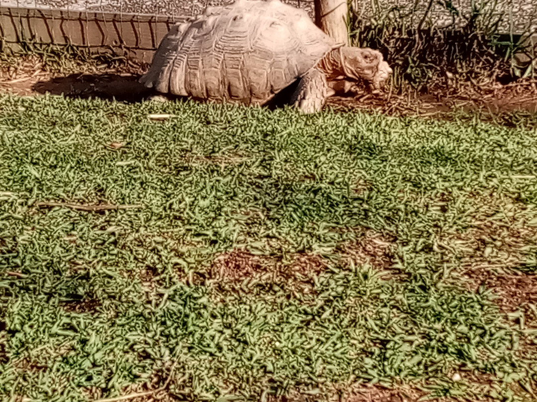 Zoo da Maia-Maia必去景点