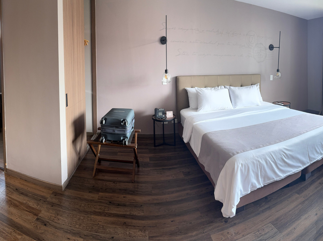 赛特斯酒店主图