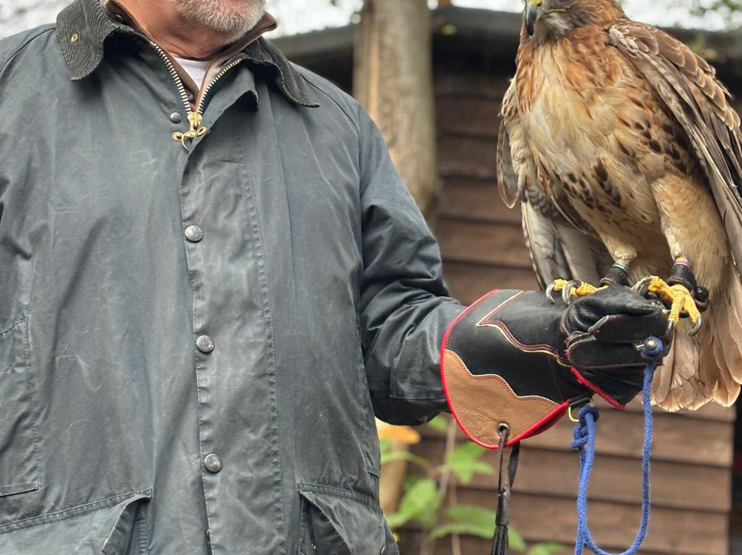 Kent Owl Academy-梅德斯通必去景点