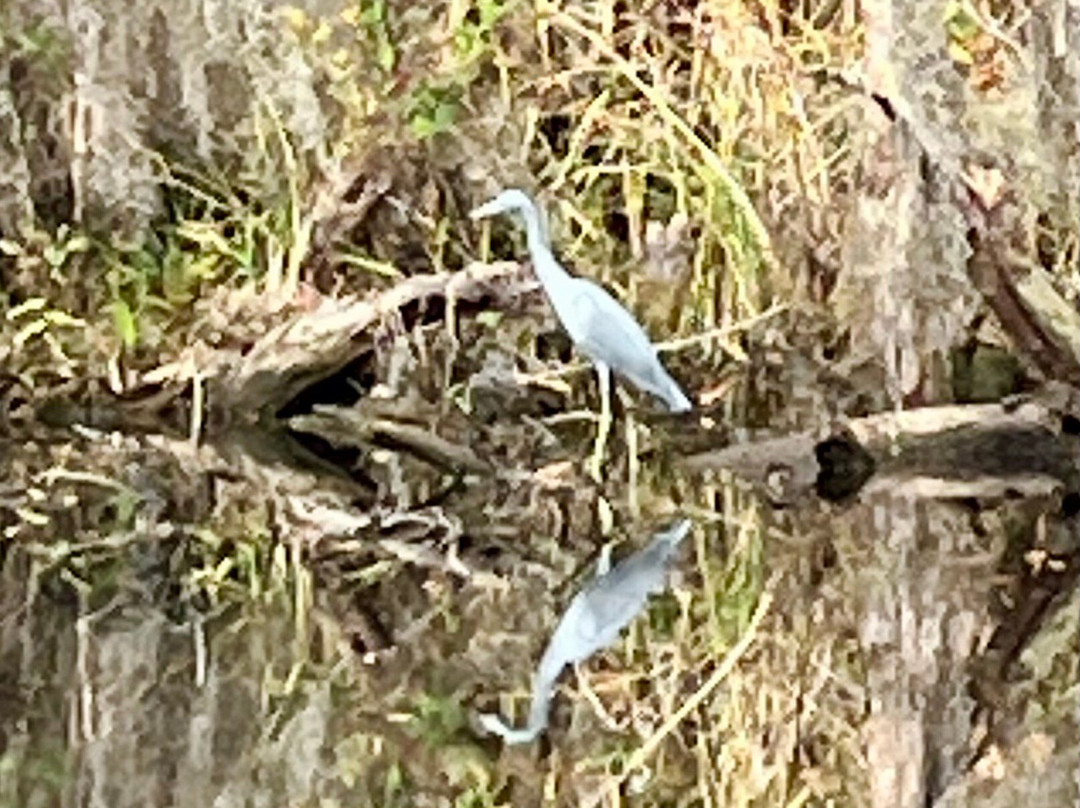 Okefenokee Adventures-Folkston必去景点