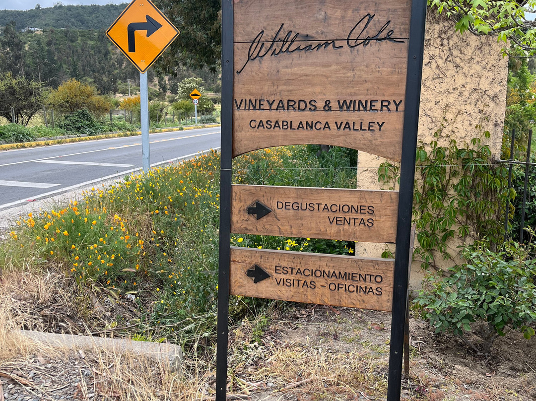 William Cole Vineyards-卡萨布兰卡必去景点