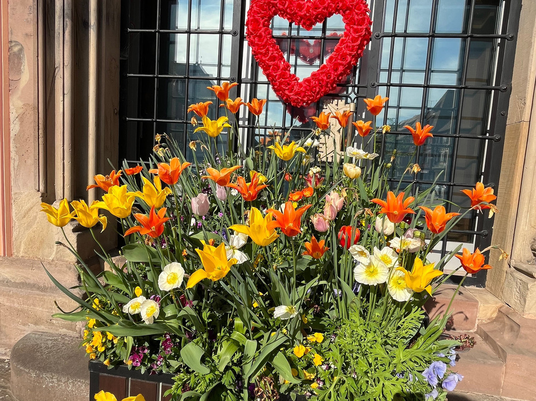 Parcours Historique d'Obernai-奥贝奈必去景点