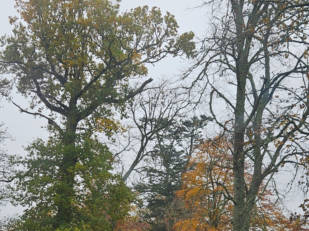 Fasque Castle-Fettercairn必去景点