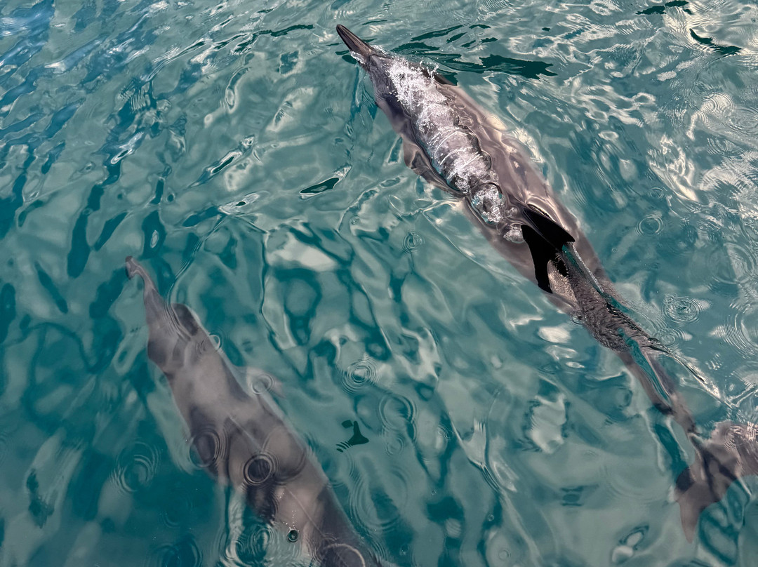纳帕利冒险之旅-科卡哈必去景点