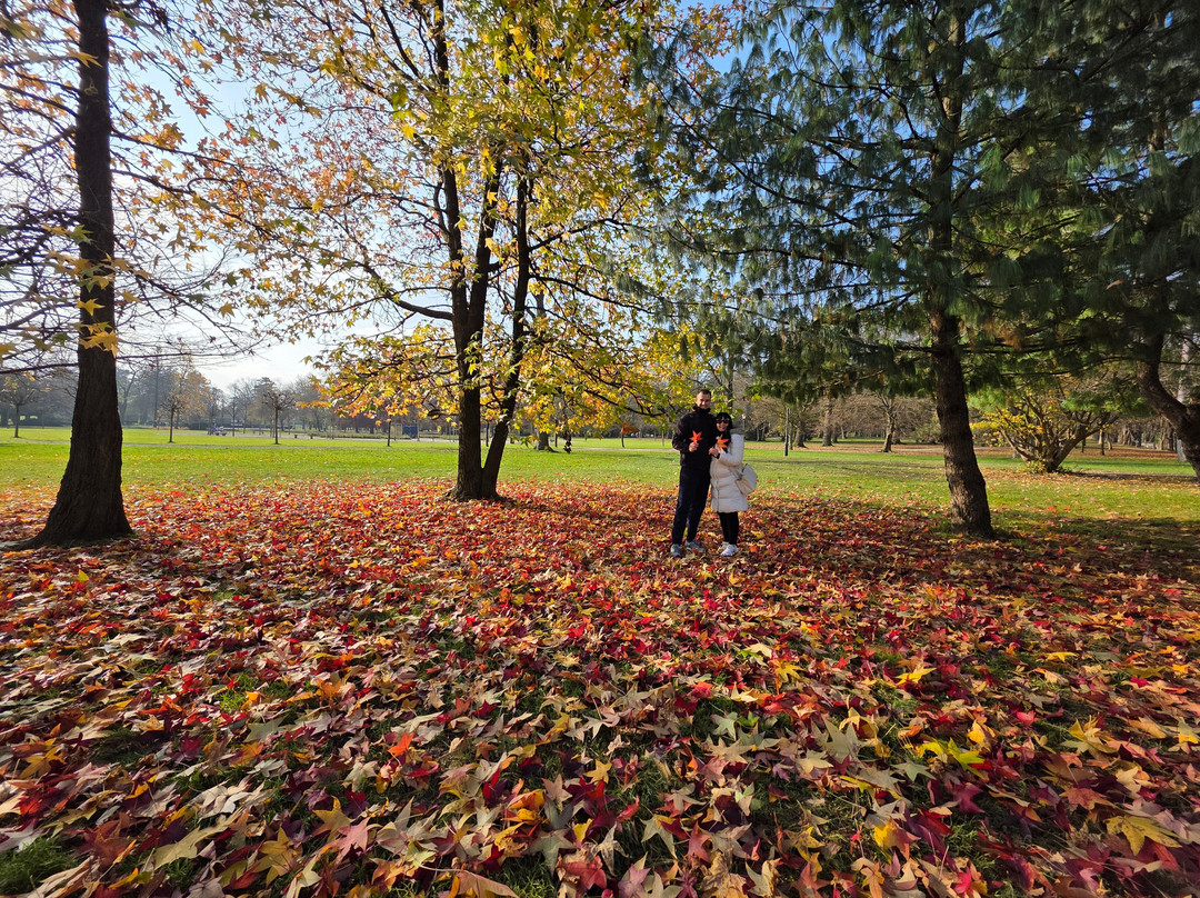 Tivoli Park-卢布尔雅那必去景点
