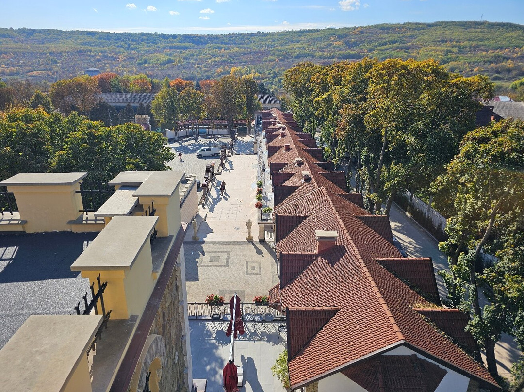 WineTours Moldova-基希讷乌必去景点