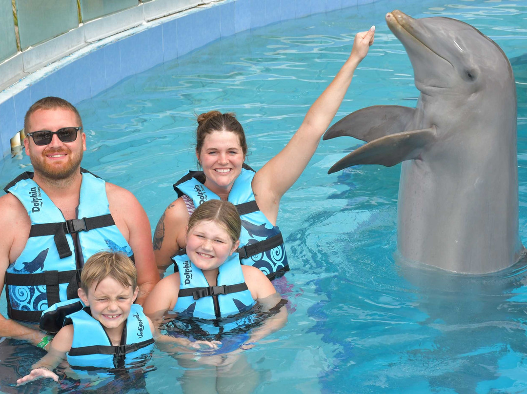 Dolphin Discovery Playa Del Carmen-普拉亚德尔卡曼必去景点