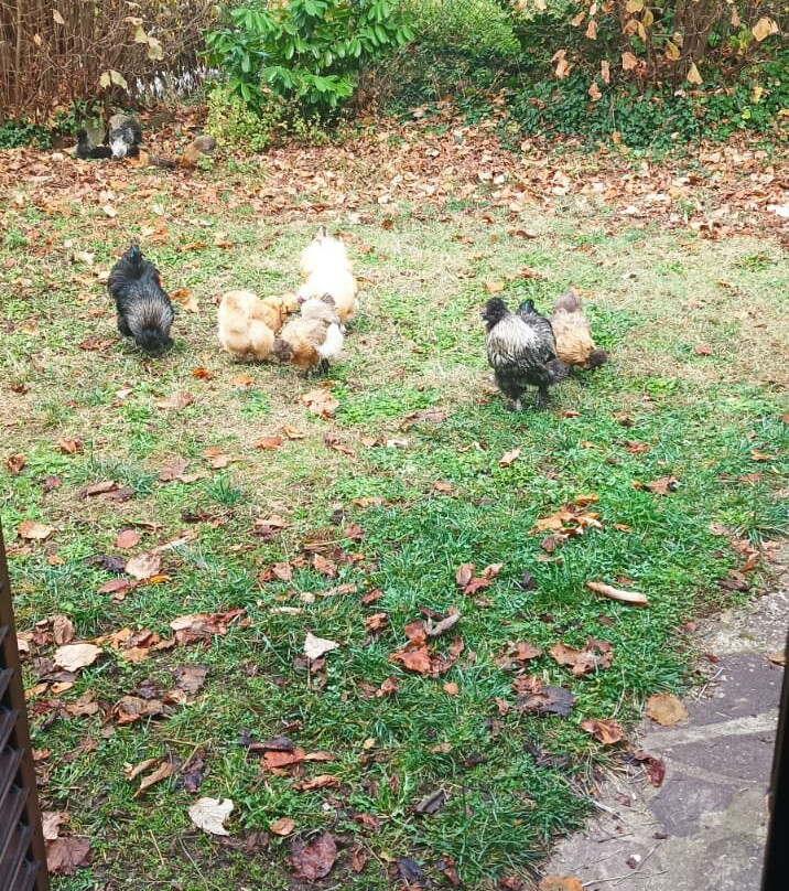 B&B Podere Legnotorto主图