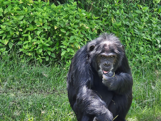 BONFIRE ADVENTURES-内罗毕必去景点