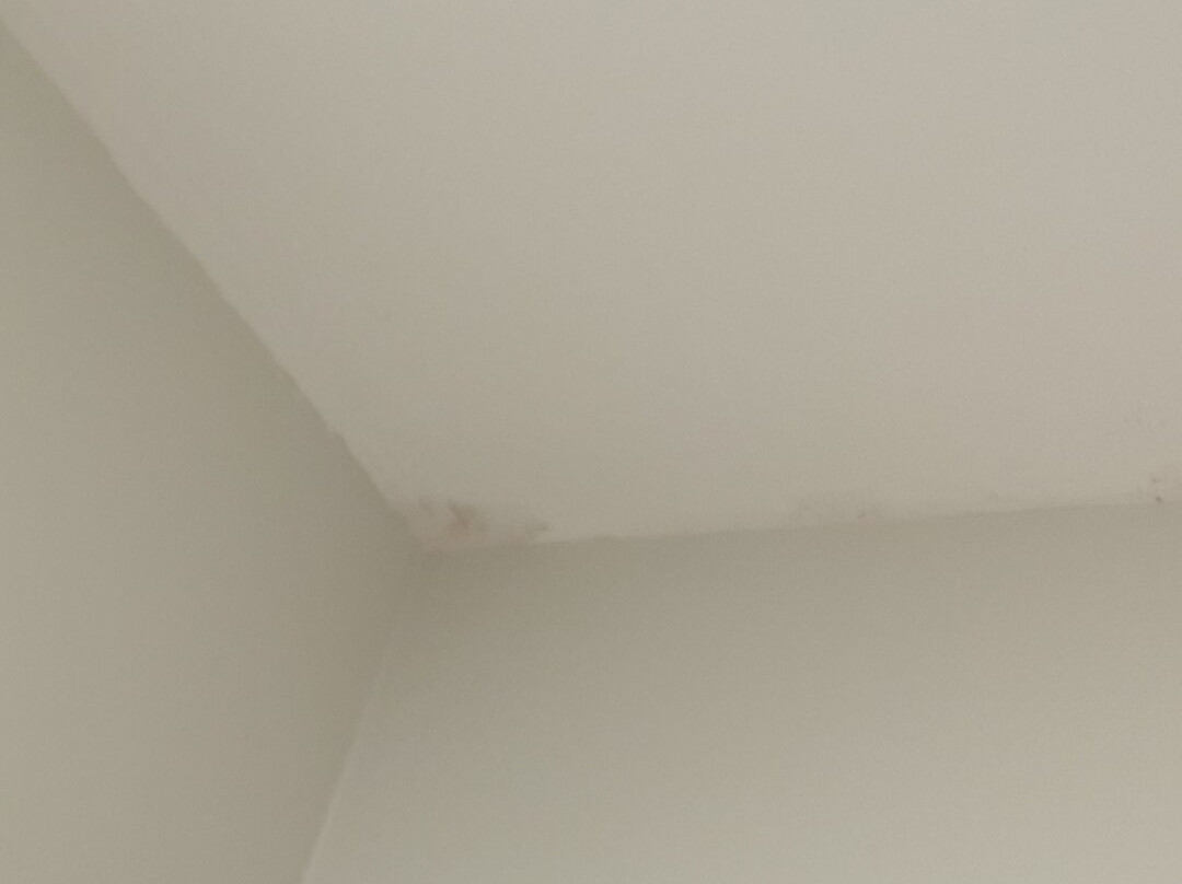 贝尔维尤市的湖泊主图