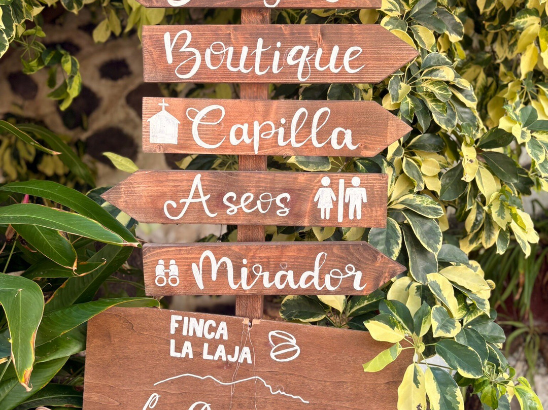 Bodega Los Berrazales-Agaete必去景点