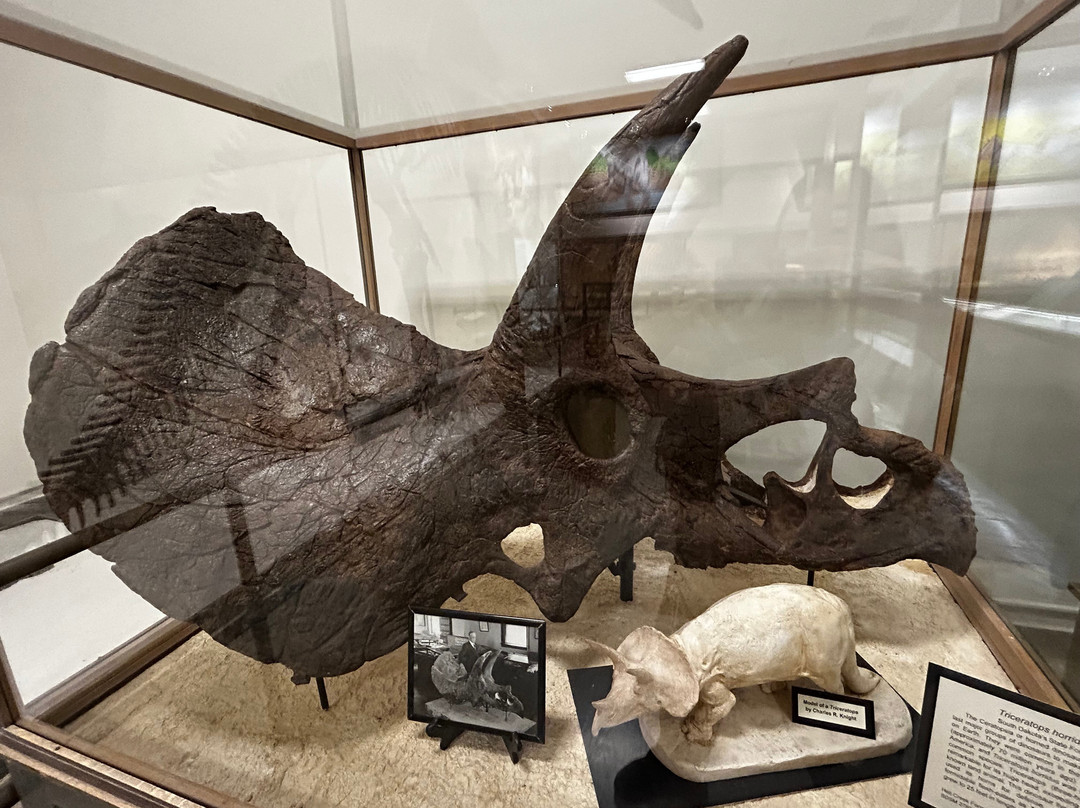 Museum of Geology-拉皮德城必去景点