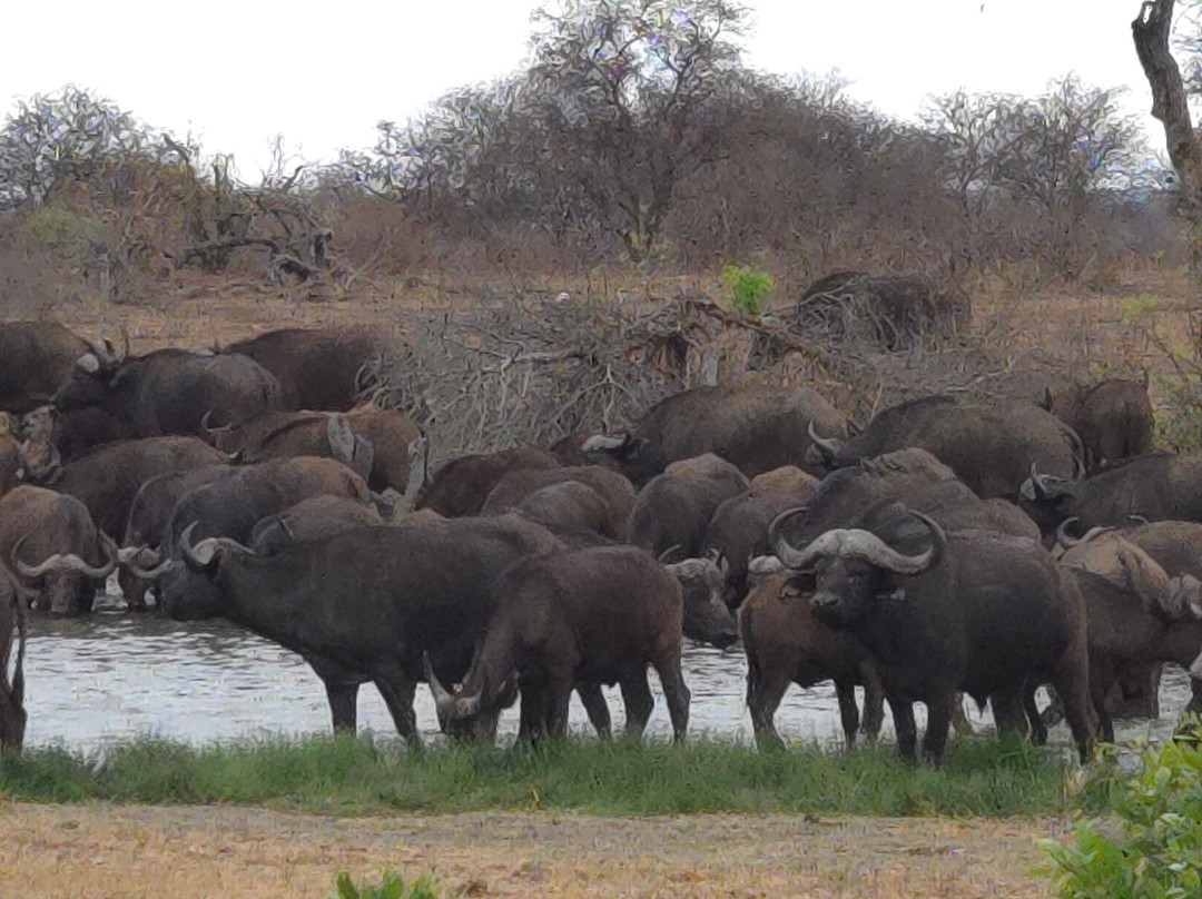 Moriti Private Safaris-克鲁格国家公园必去景点