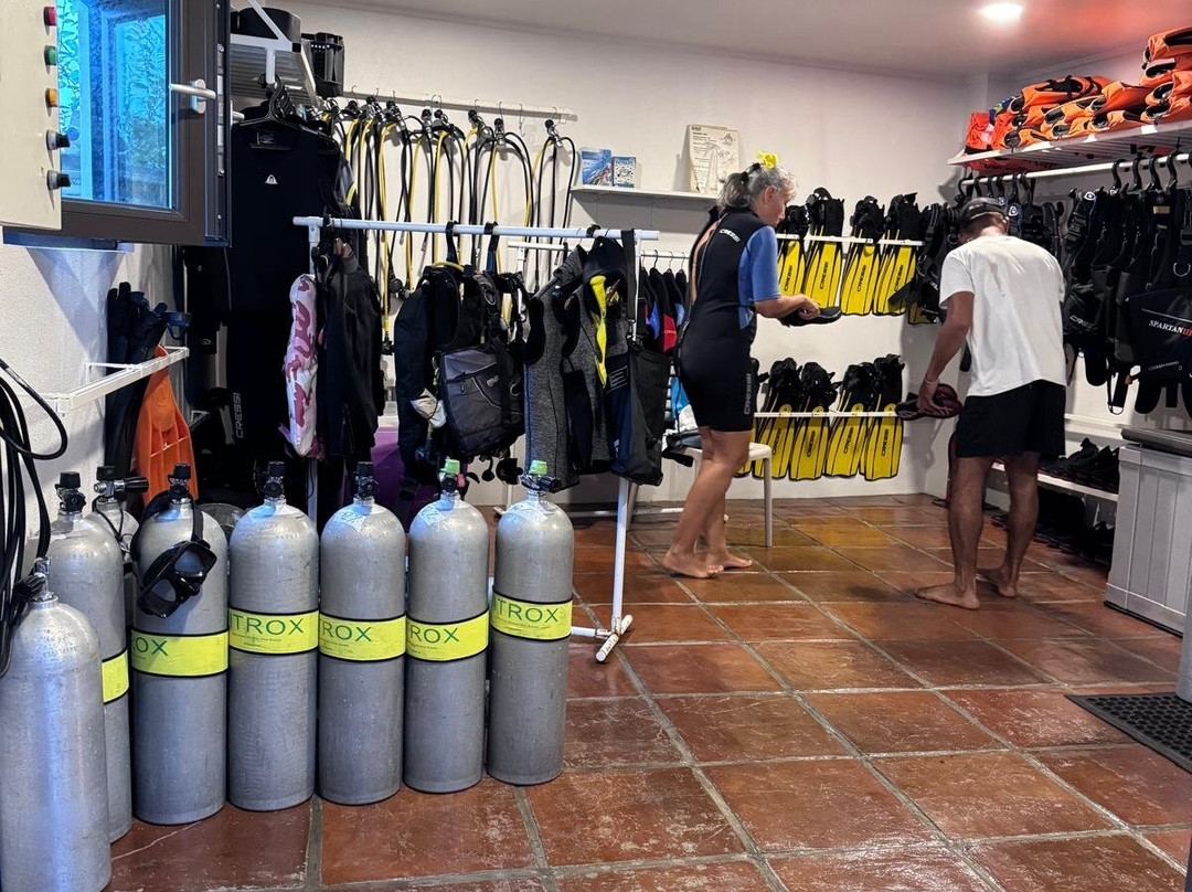 Emoha Dive Resort主图