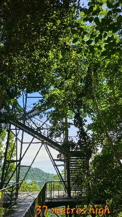 Mamu Tropical Skywalk-因尼斯费尔必去景点