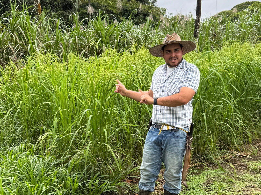 Finca Ecoorganica Sarapiqui-La Virgen必去景点