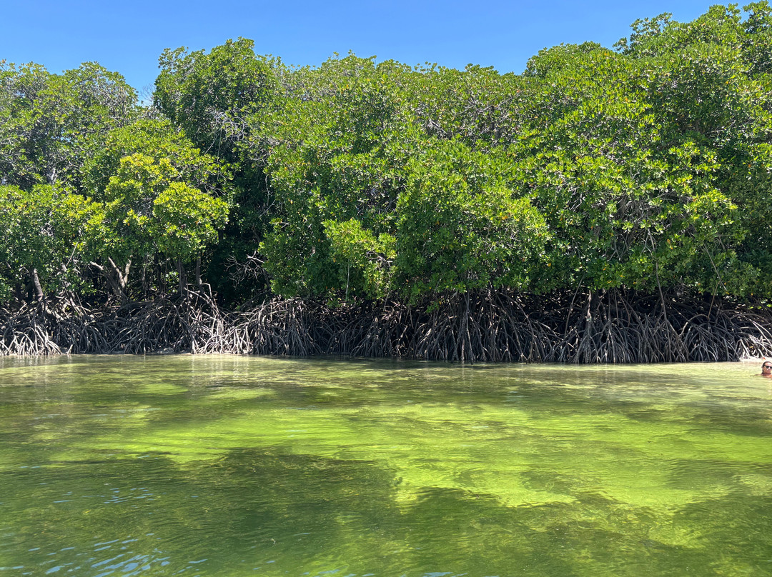 Kalume Safari-瓦塔木必去景点