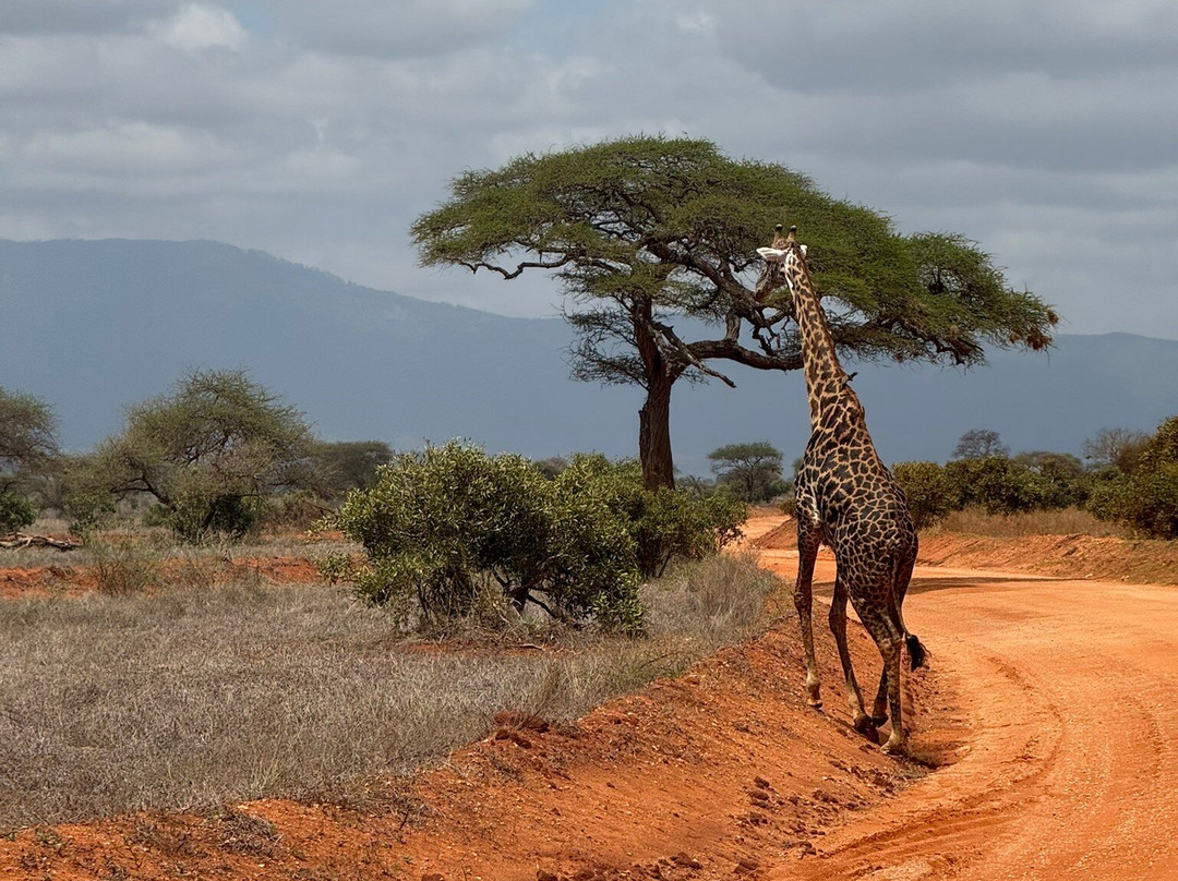 Ombre Tours & Safaris-瓦塔木必去景点