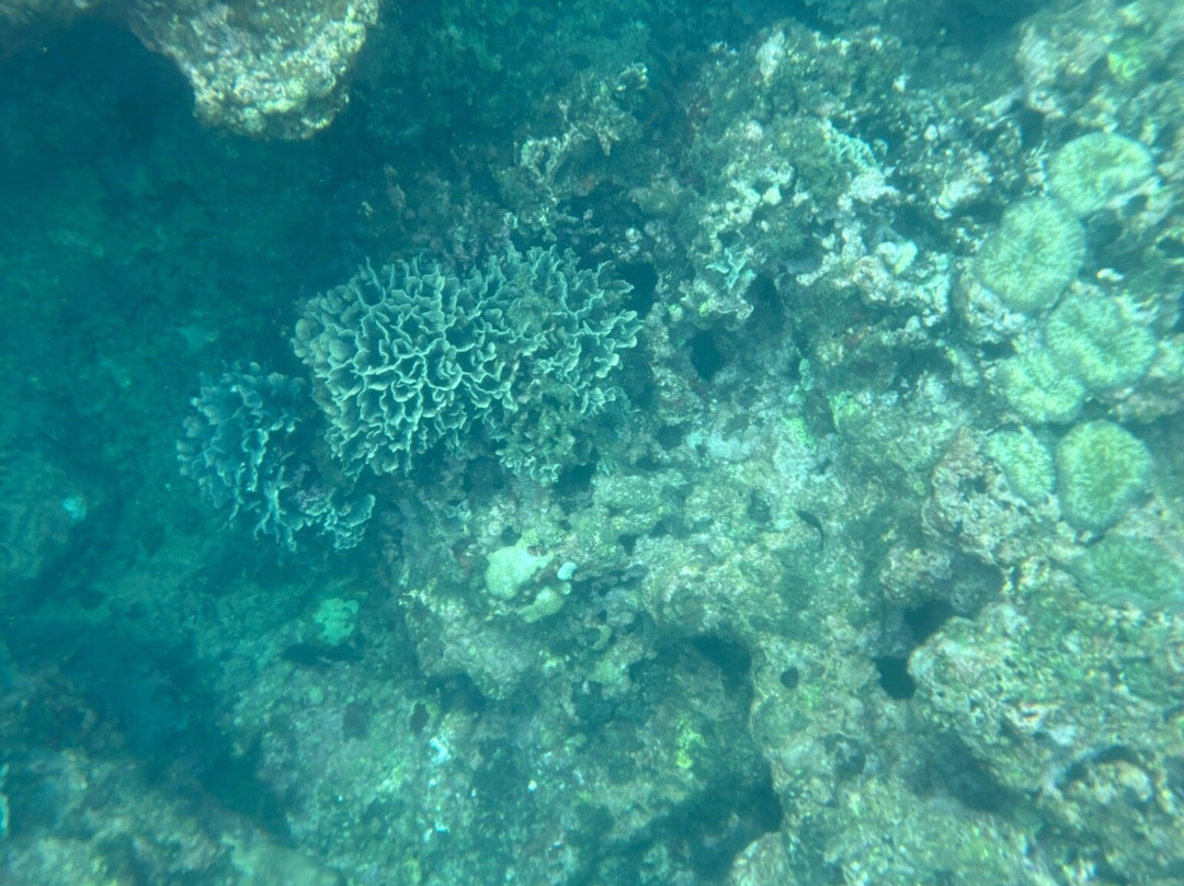 Manzanillo Adventure Tours-Manzanillo必去景点